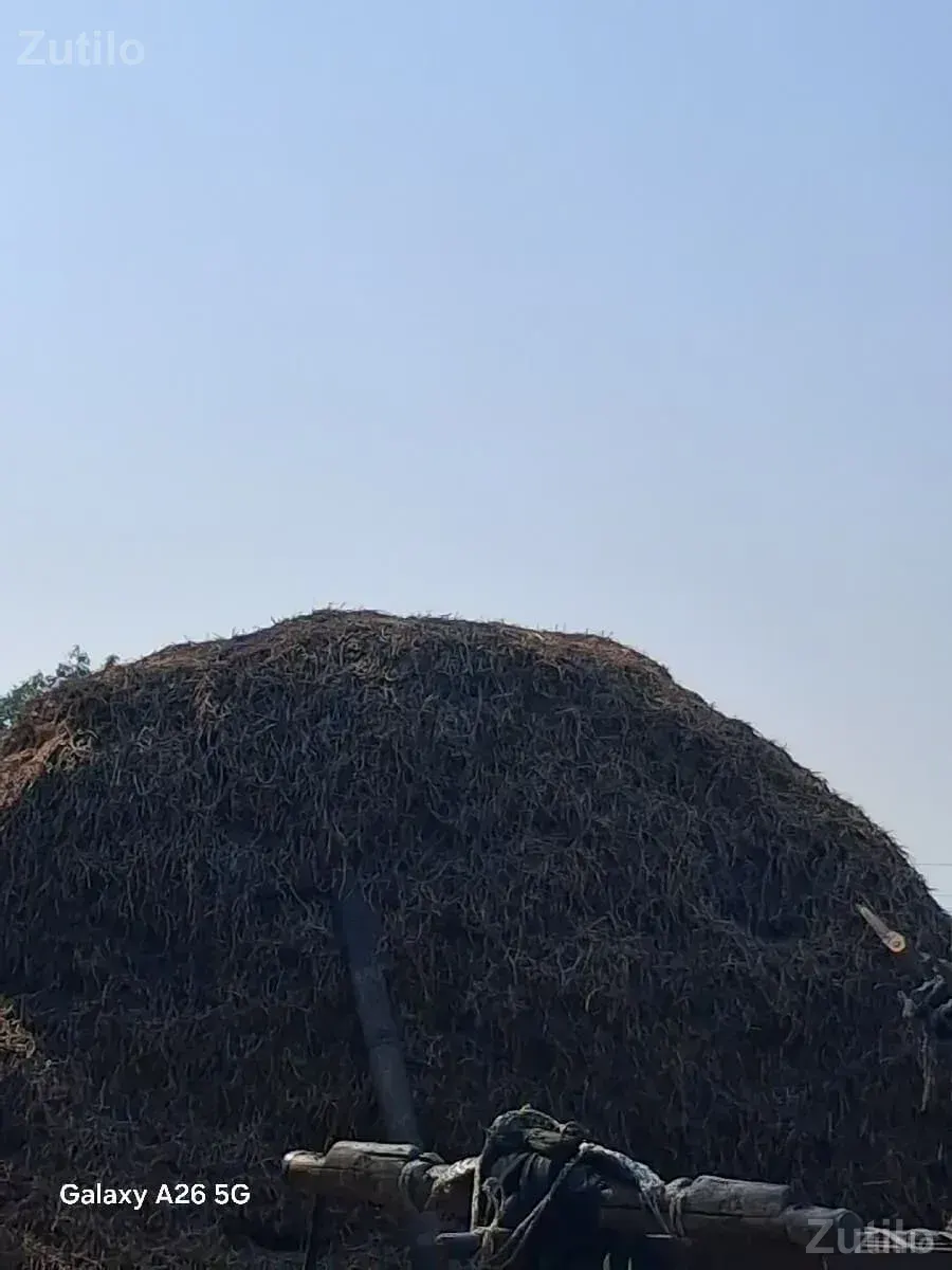 માડવી નો સારો - Land & Plots - Ahmedabad City - Image 1