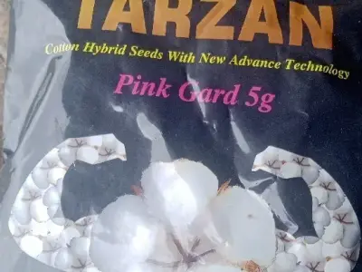 જમીનવેસવાનીસે જમીનવેસવાનીસે