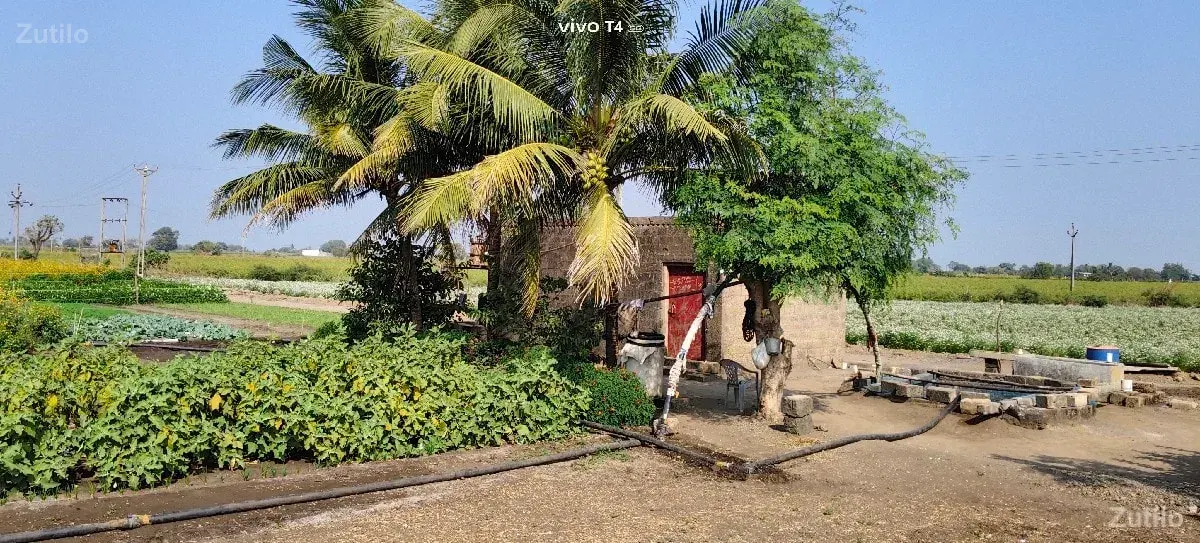 જમીન વેચવાની છે. - Land & Plots - Keshod - Image 3