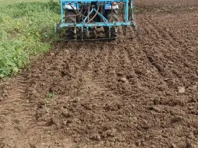 ખેતીની જમીન ખેતીની જમીન
