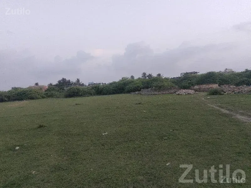 Open Green Residential Plot Sutrapada - Land & Plots - Sutrapada - Image 2