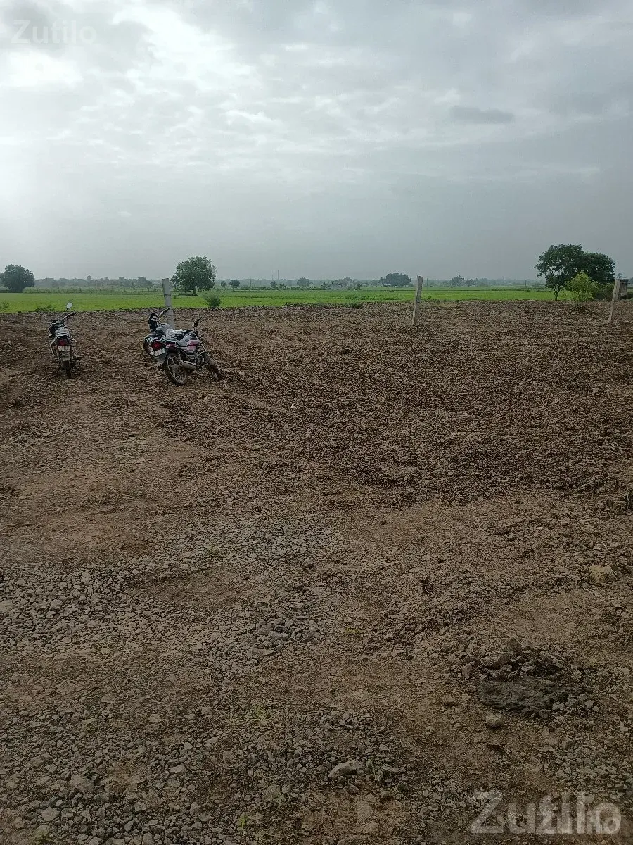 Roadside Land for Lease Near Highway - જમીન અને પ્લોટ - ભેસાણ - Image 1