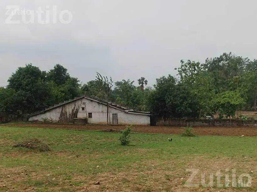 House for Sale with Water and Parking Space - House for Sale - Chhota Udepur - Image 3