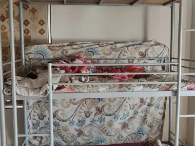 Bunk bed 3 Bunk bed 3