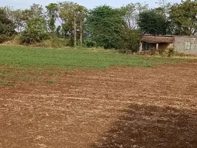 20 vigha rode touch