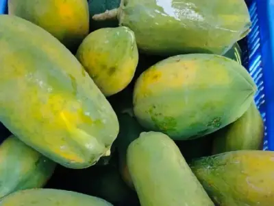 જમીન લે વેચ માટે સંપર્ક કરો*