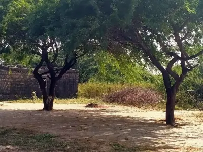 Koi Mara Bhai unhen koi lakadha no Koi Mara Bhai unhen koi lakadha no