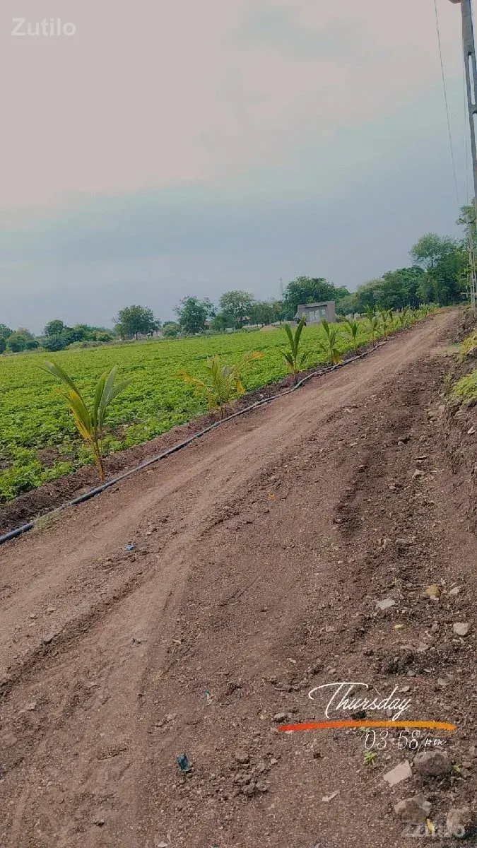 Dumiyani highway tach jamin - Land & Plots - Valod - Image 2