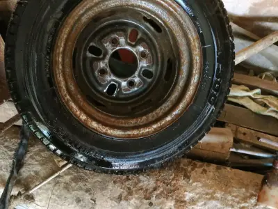 New Vehicle Tyre Tube with Rim Plate