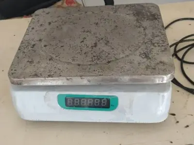 Electronic Weighing Scale 30 Kg Capacity