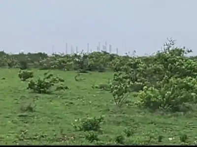 જમીન વેચવાની છે - મોબાઈલ 8928481945 જમીન વેચવાની છે - મોબાઈલ 8928481945