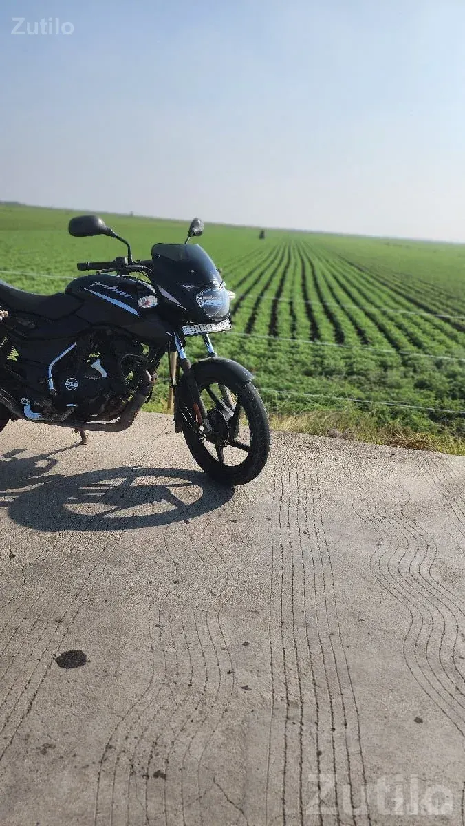 Bajaj Pulsar 125 Black Bike - બાઇક્સ - માંગ્રોળ - Image 3