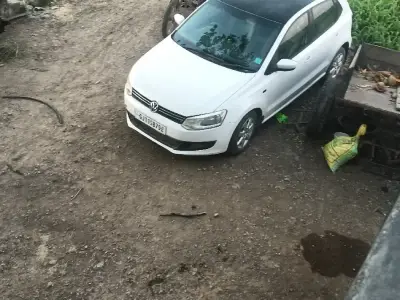 polo polo