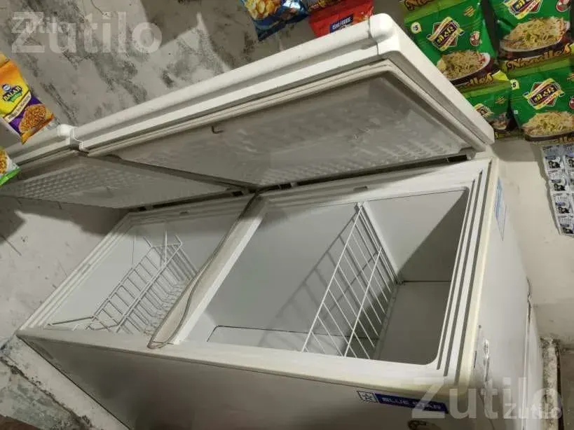 Blue Star Deep Freezer Chest Freezer - Refrigerators - Shankheshwar - Image 3