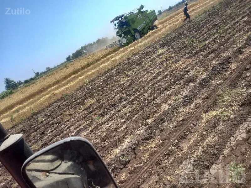 10 Bigha Fertile Agricultural Land Sale - જમીન અને પ્લોટ - જામજોધપુર - Image 1