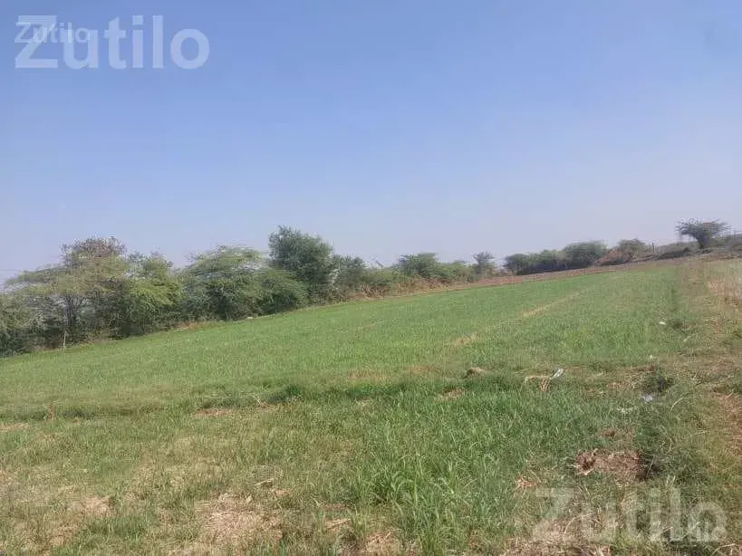 1 Vidho Agricultural Land for Sale - Land & Plots - Matar - Image 3