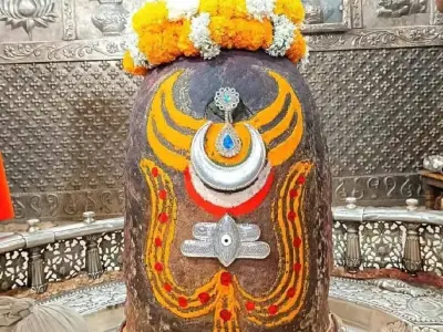 *જમીન લે વેચ માટે સંપર્ક કરો*