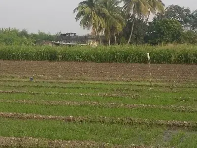વેચવાનીછે વેચવાનીછે