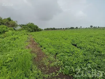 Green Fertile Agricultural Land Mendarda