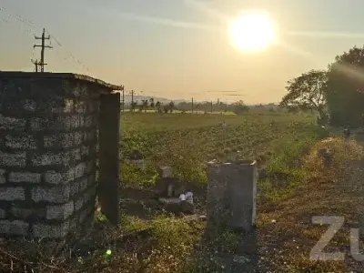 Sunlit Agricultural Land for Sale Sunlit Agricultural Land for Sale