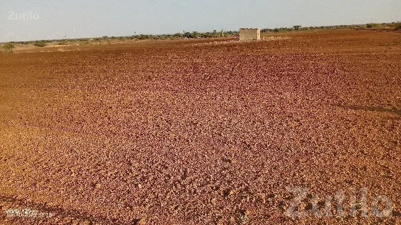 Agricultural Land in Sonvadiya Jamjodhpur - જમીન અને પ્લોટ - જામજોધપુર - Image 2