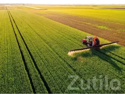 Fertile Agricultural Land Wanted in Rajkot
