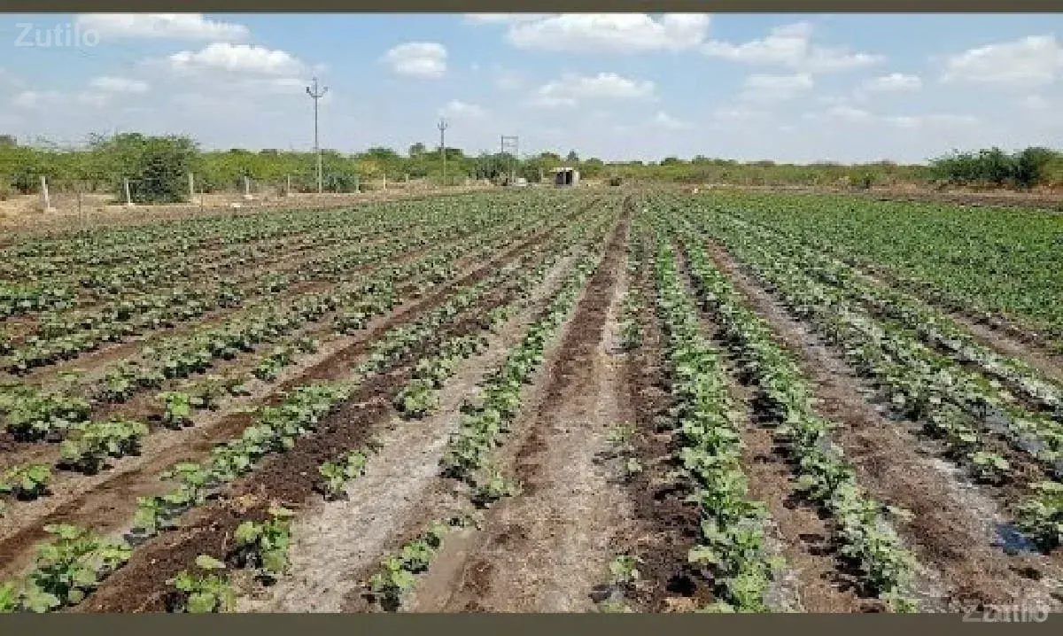 ખેતી ની જમીન વેચવાની છે - જમીન અને પ્લોટ - ઊના - Image 2
