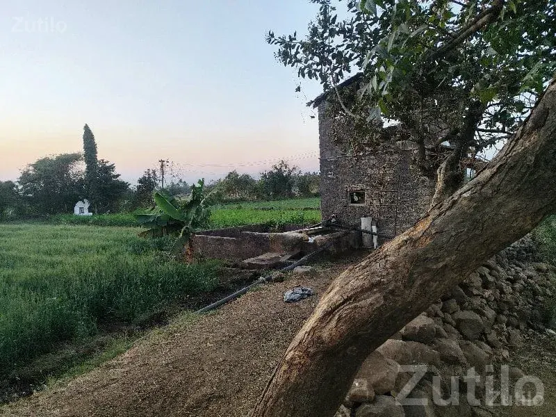 Fertile Open Farming Land Plot - જમીન અને પ્લોટ - કોડીનાર - Image 3