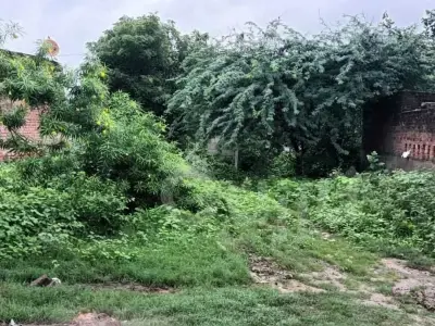 Gandhinagar Walled Green Residential Plot Gandhinagar Walled Green Residential Plot