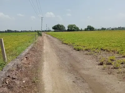 વાડી વેચવાની છે વાડી વેચવાની છે
