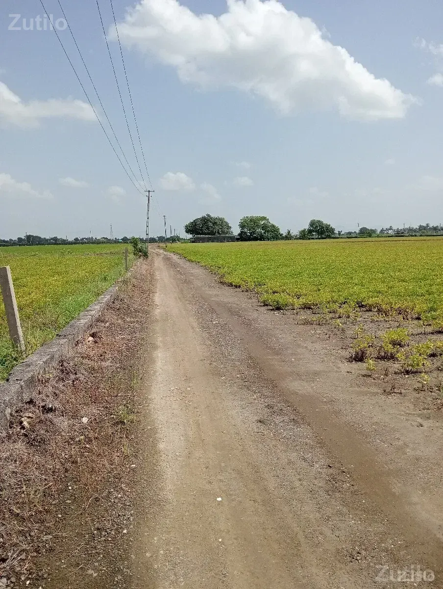 વાડી વેચવાની છે - Land & Plots - Bhanvad - Image 1