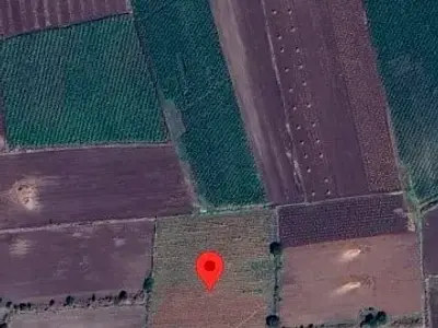 9 Vigha Fertile Agriculture Land Manavadar 9 Vigha Fertile Agriculture Land Manavadar