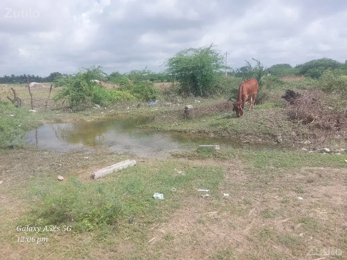 6 વીધા વેસવાની - Land & Plots - Somnath - Image 2