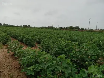 જમીન વેચવાની છે
