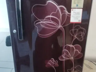 LG Fridge LG Fridge