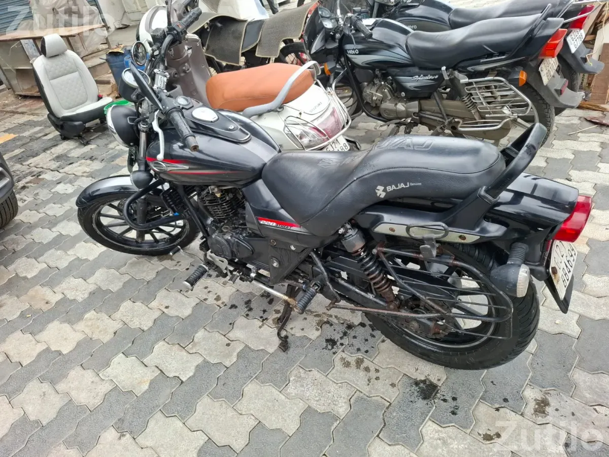Bajaj avenger 220 street - Bikes - Navsari City - Image 2