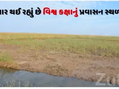 Mokar Sagar Side Plot in Chhaya Mokar Sagar Side Plot in Chhaya
