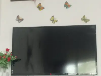 Television chigob Television chigob