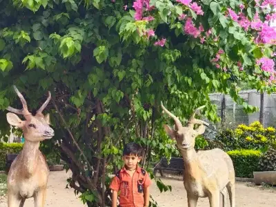 જમીન વેચવાની છે જમીન વેચવાની છે
