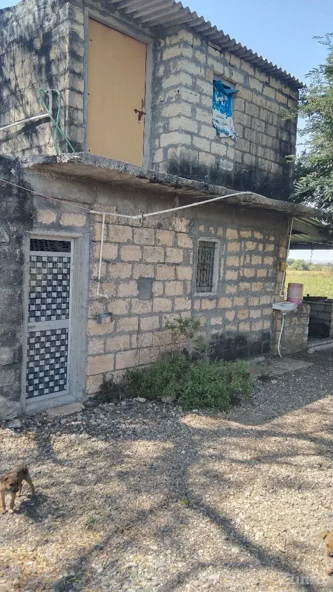 30 vigha vadi full pani - Land & Plots - Upleta - Image 2