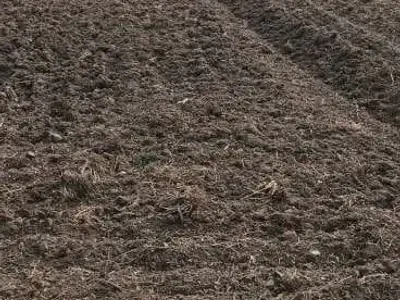 Agricultural Land Plot for Sale Agricultural Land Plot for Sale
