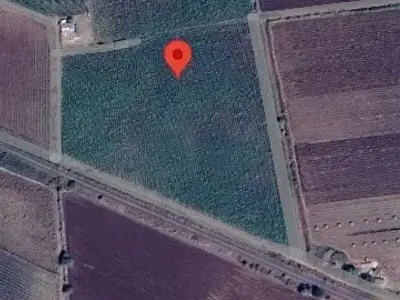 Fertile Agricultural Land Jamjodhpur Fertile Agricultural Land Jamjodhpur