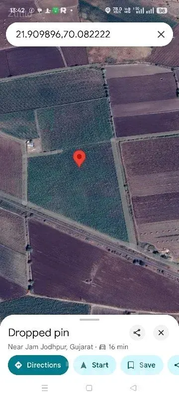 Fertile Agricultural Land Jamjodhpur - જમીન અને પ્લોટ - જામજોધપુર - Image 1