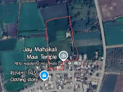 8 વિઘા વેચવા ની છે 8 વિઘા વેચવા ની છે