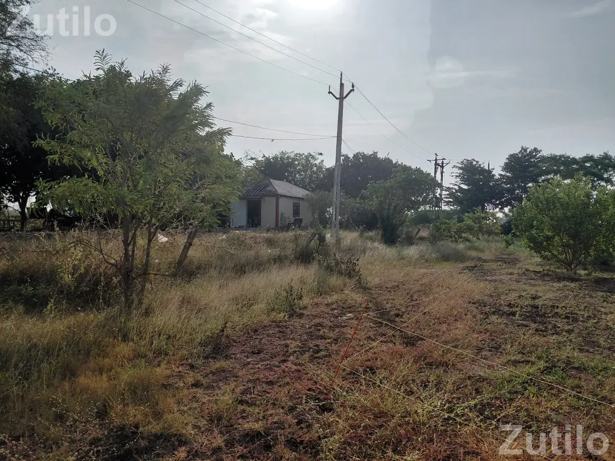9 vigha jamin vechani se - Land & Plots - Gadhada - Image 4