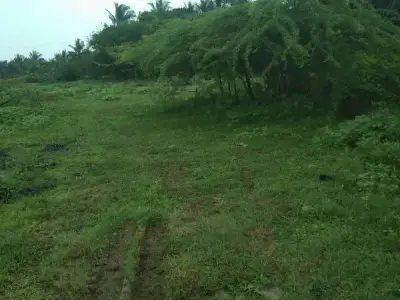Dadhichi Township Residential Plot 107 Var Dadhichi Township Residential Plot 107 Var