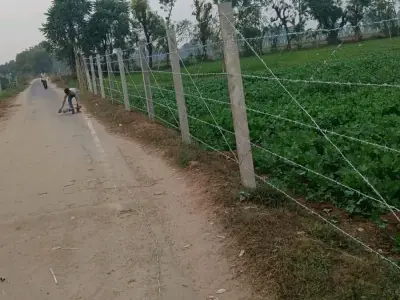 Barbed Wire Fencing Work Service Barbed Wire Fencing Work Service
