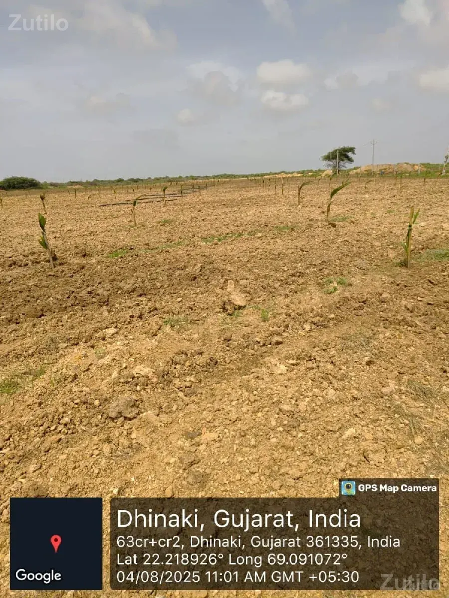 જમીન વેચવાની છે - Land & Plots - Bhanvad - Image 2