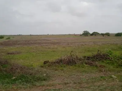 Jamin vechvani che area ranavav taluka vistar gam nerana , areda Jamin vechvani che area ranavav taluka vistar gam nerana , areda