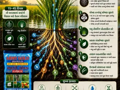 Seeds Seeds